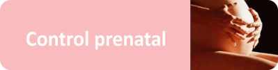 info_control-prenatal